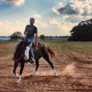 Meet your Posher, Ty